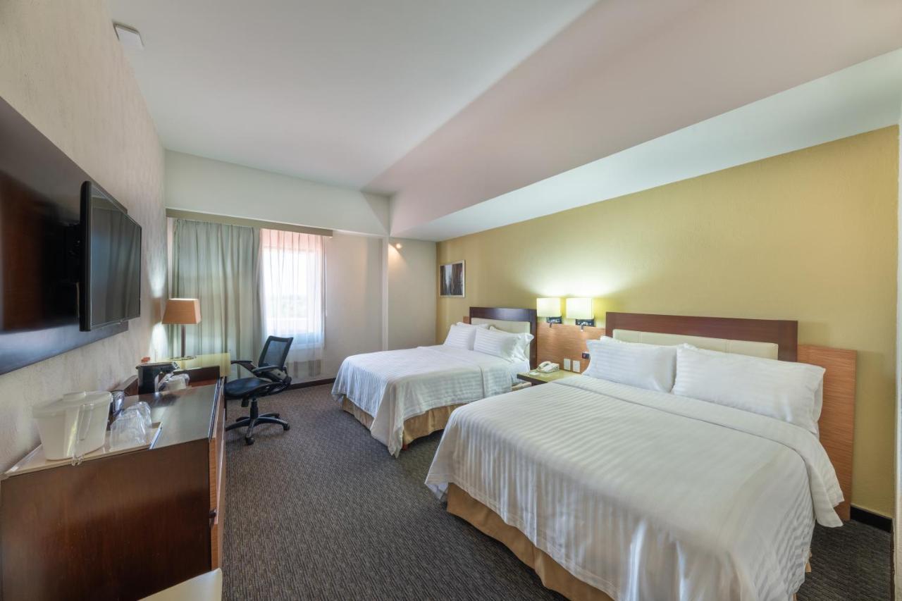 Standard Double Room with Two Double Beds - Disability Access,1273652752:JPEG