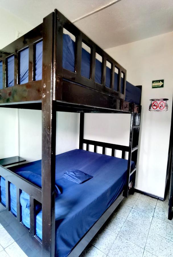 Cama Individual en habitación compartida femenina