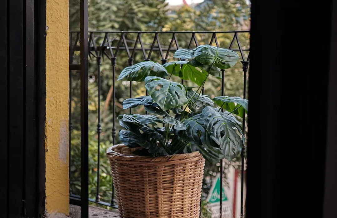 Casa Arrayan-1