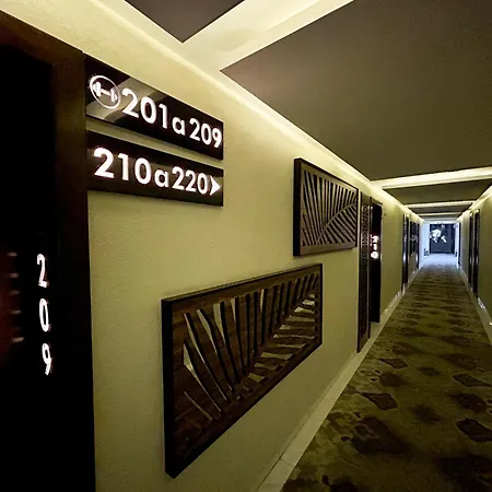 Hotel Dali Plaza Ejecutivo-2