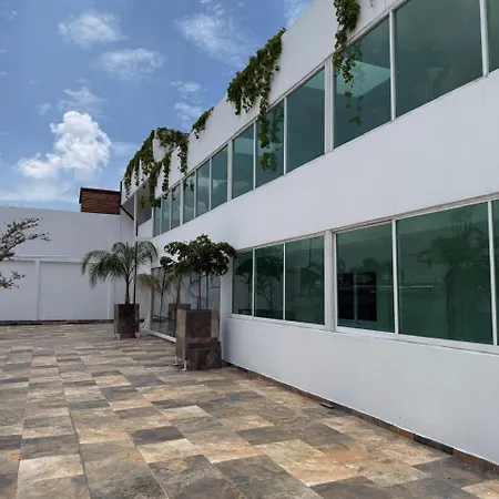 La casa de las palmeras-2