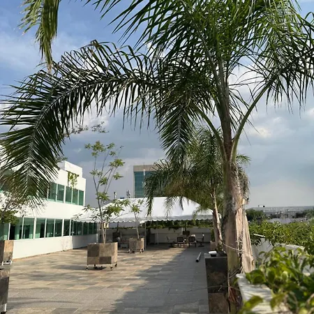 La casa de las palmeras-3