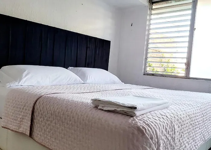 Suite Guadalajara