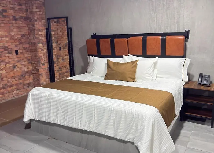 Hotel Van Gogh Aeropuerto Gdl Guadalajara